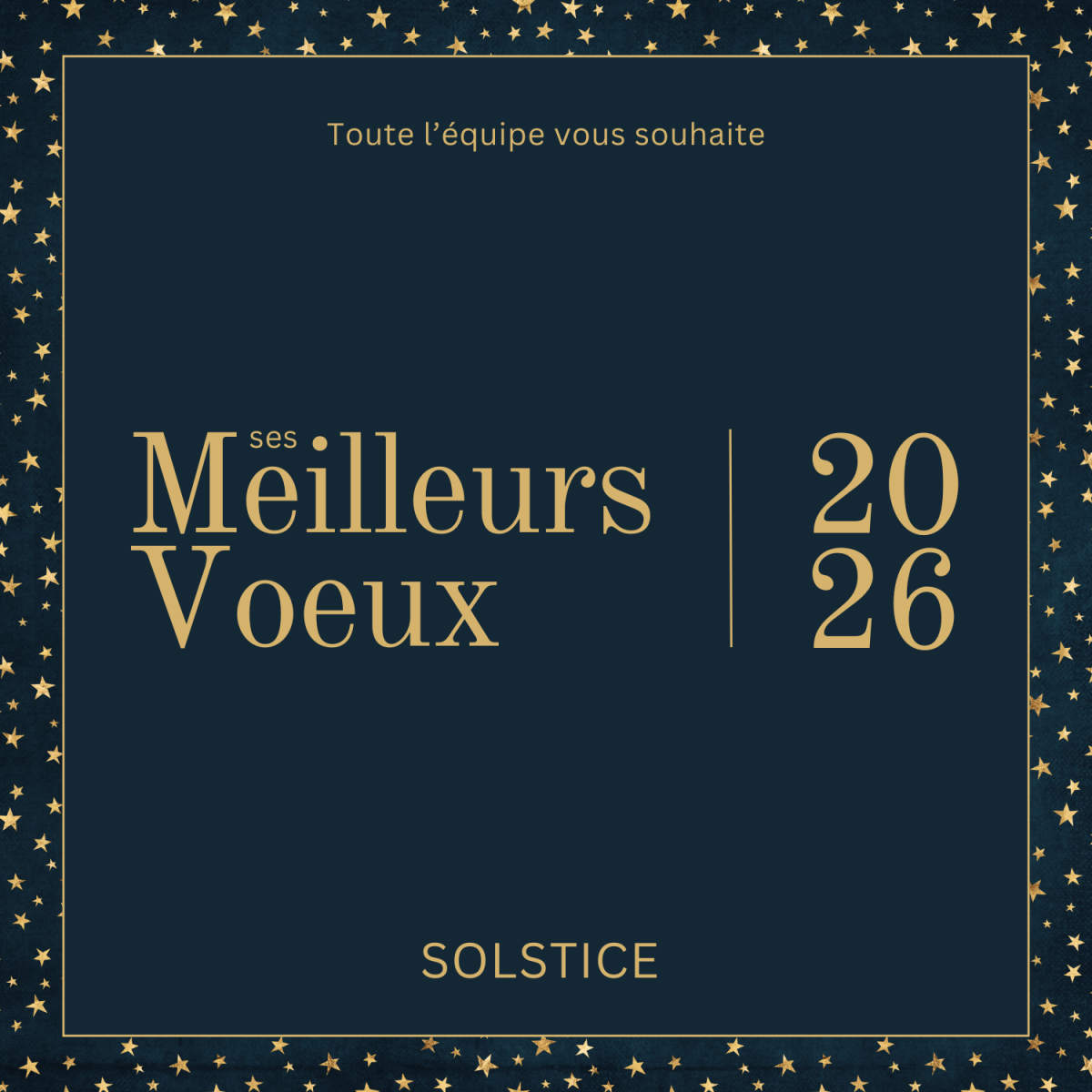 ✨ Belles fêtes de fin d’année à toutes et à tous ✨ 