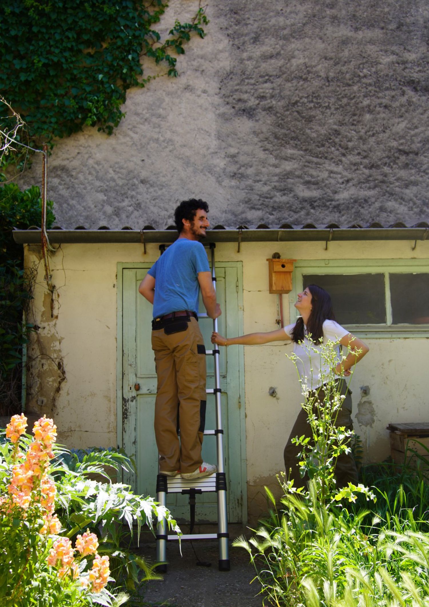 diagnostic-immobilier-solstice-avignon-audits experts-immobiliers-échelle-maison-analyse-recherche-rénovation-diagnostic-audits-avignon